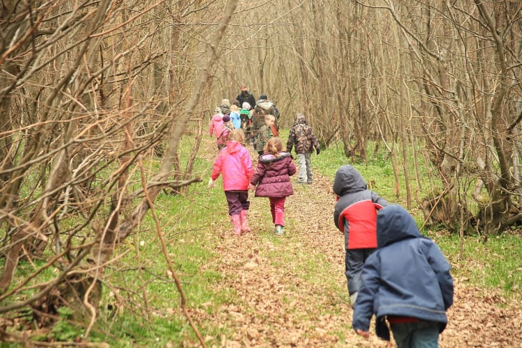 Children visiting Great Dixters coppiced wood in early spring