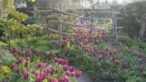 Spring at Great Dixter - borders and layers