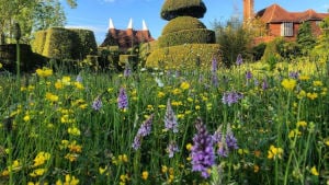 Behind the Scenes at Great Dixter in June