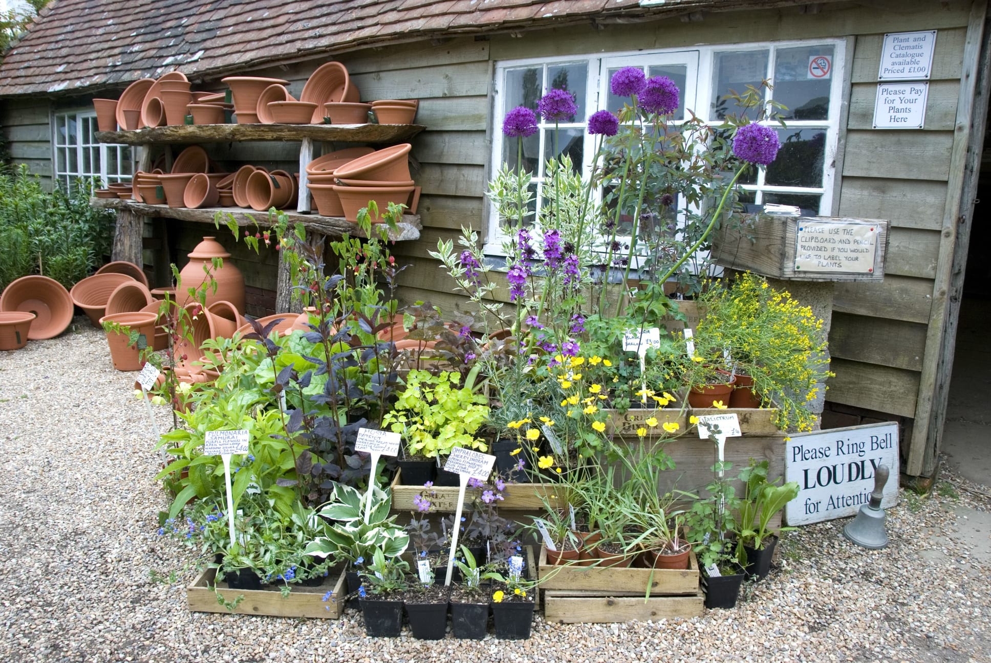 Nursery display with Whichford pots in the background