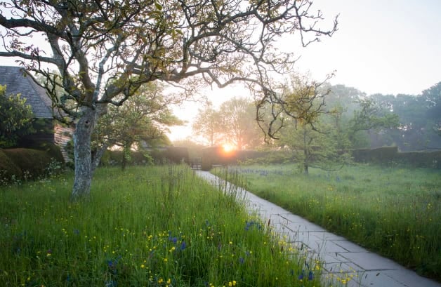 The front meadow at Great Dixter, shown at sunset