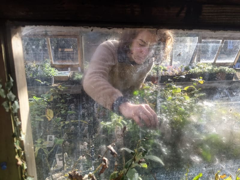 Assistant nursery manager at Great Dixter Sophie Cook