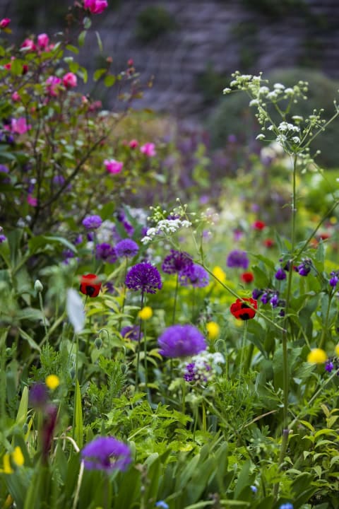 The Barn Garden at Great Dixter in late spring by Claire Takacs