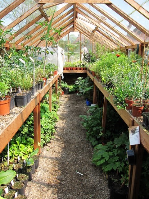 One of the nursery greenhouses