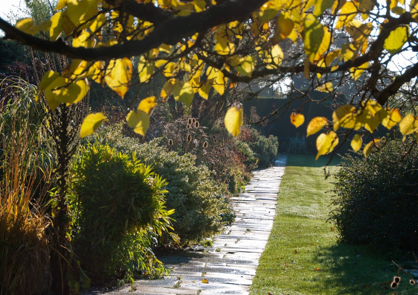 Bulb Symposium-November 2025