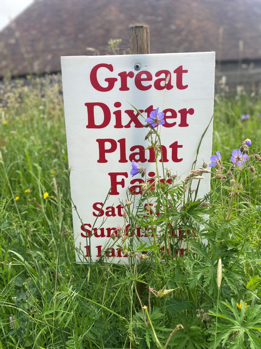 Autumn Plant Fair 2025